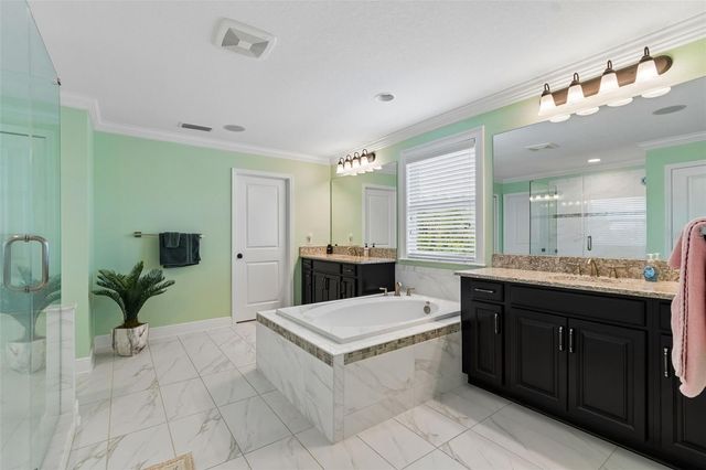13218 BATTEN LANE, Odessa, FL 33556