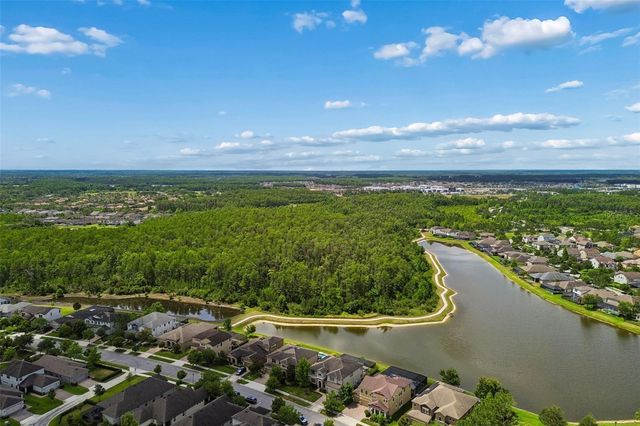 13218 BATTEN LANE, Odessa, FL 33556