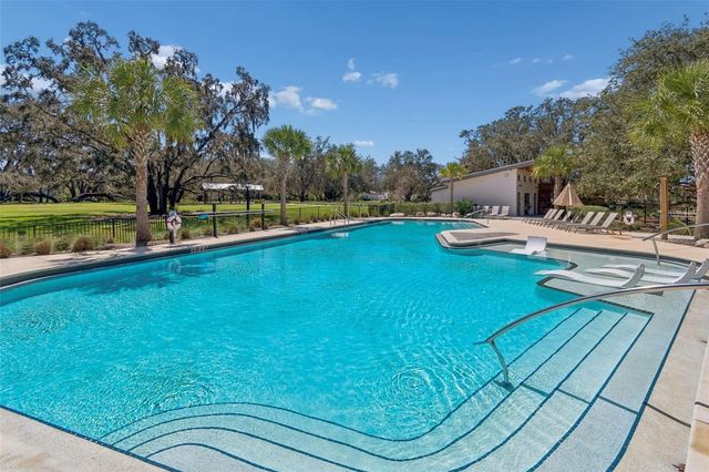 13218 BATTEN LANE, Odessa, FL 33556