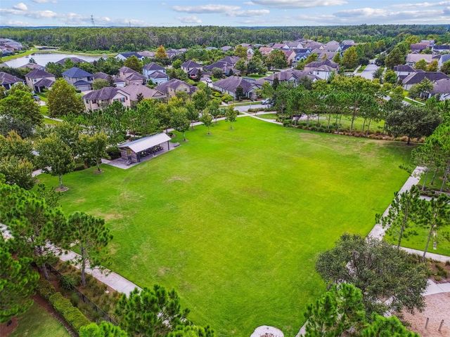 13218 BATTEN LANE, Odessa, FL 33556