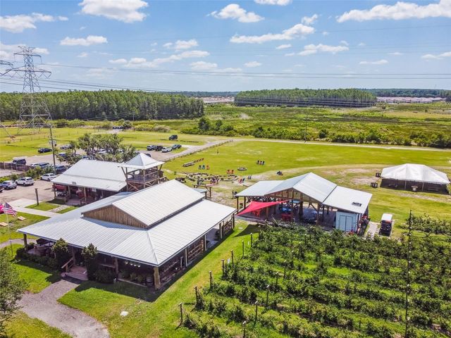 13218 BATTEN LANE, Odessa, FL 33556