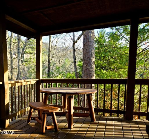 1529 Boo Boos Way, Sevierville, TN 37862