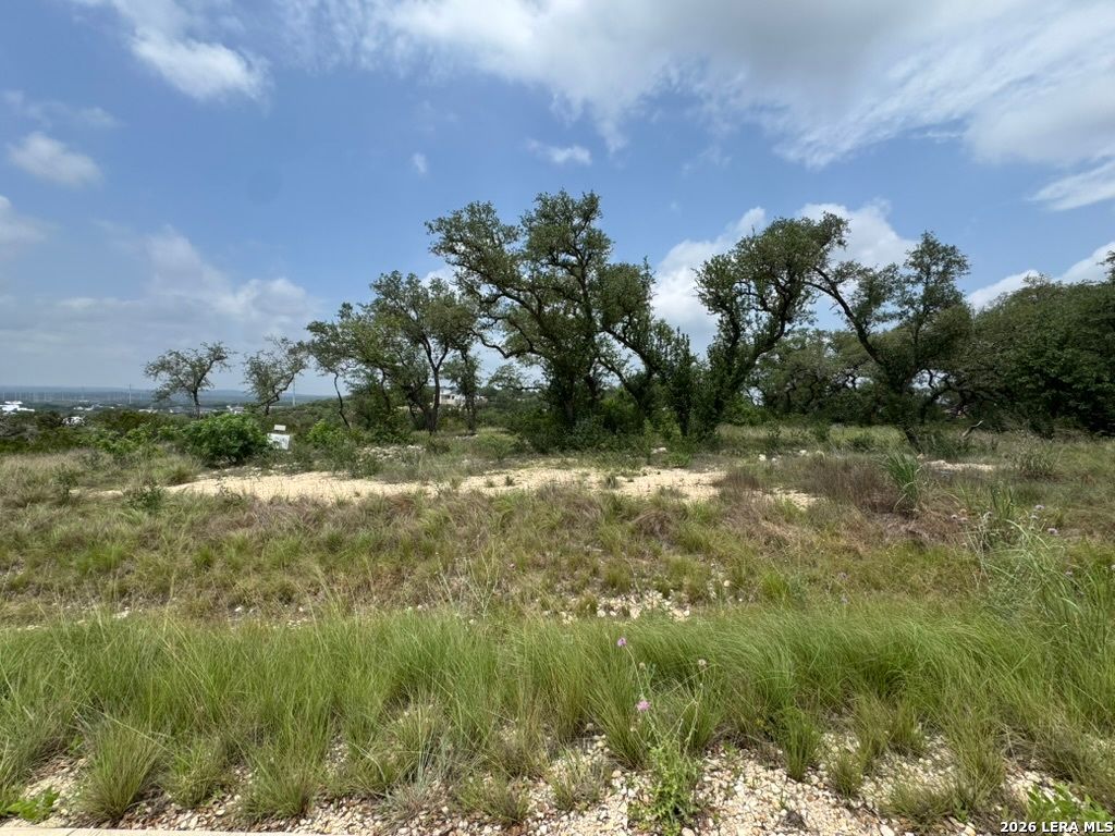 686 Butler Oaks, Bulverde, TX 78163