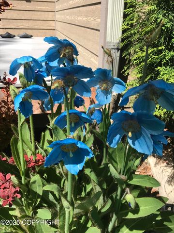 40755 Morning Star Road, Homer, AK 99603