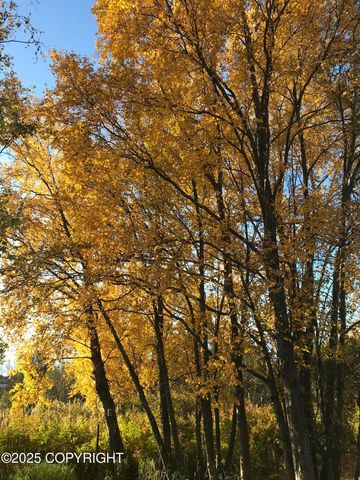 40755 Morning Star Road, Homer, AK 99603