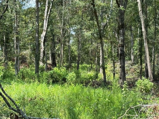 19959 Old Highway 105, Cleveland, TX 77328