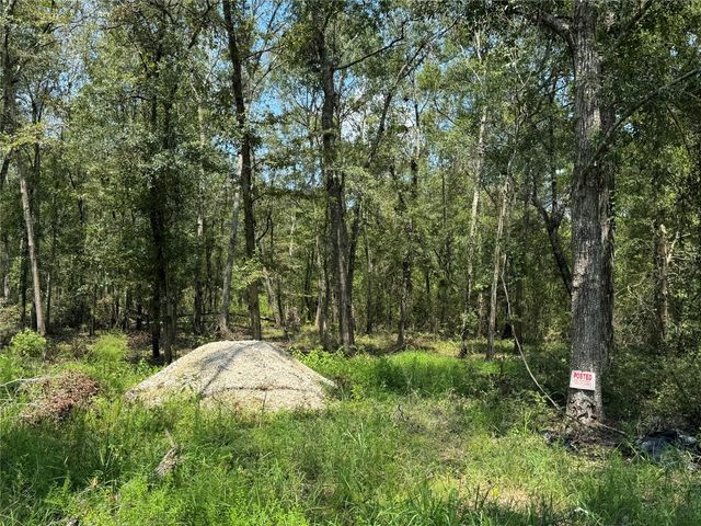 19959 Old Highway 105, Cleveland, TX 77328