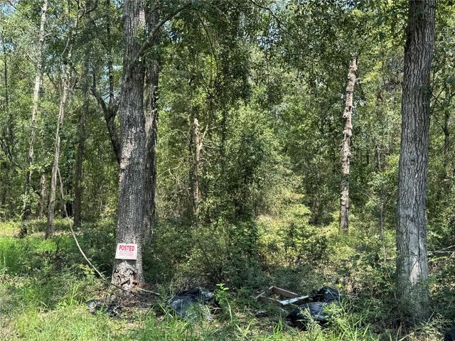 19959 Old Highway 105, Cleveland, TX 77328