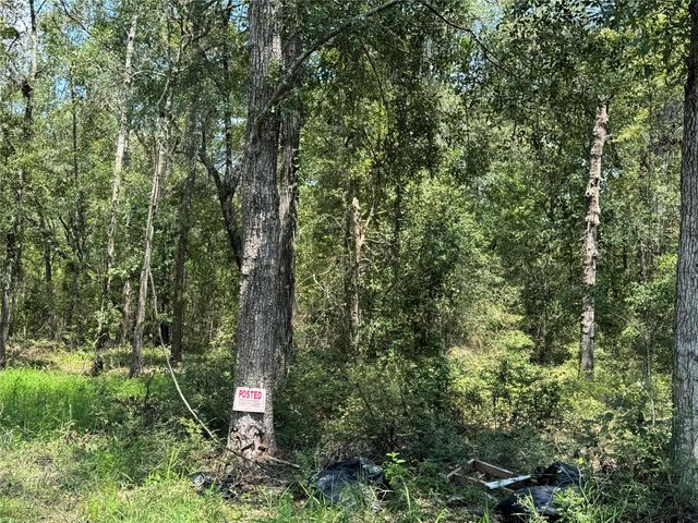 19959 Old Highway 105, Cleveland, TX 77328