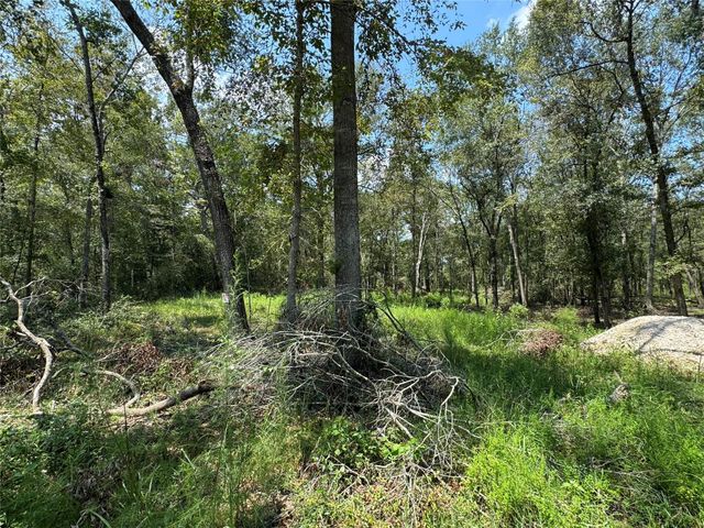 19959 Old Highway 105, Cleveland, TX 77328