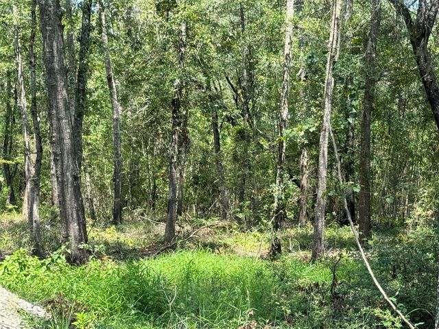 19959 Old Highway 105, Cleveland, TX 77328