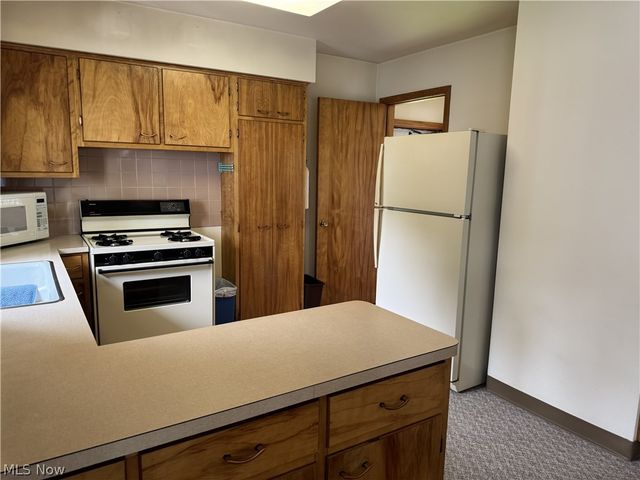 905 Carnegie Avenue, Akron, OH 44314