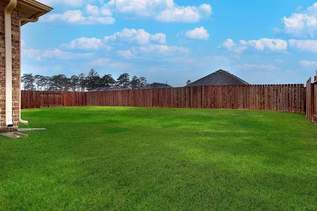 14215 Irvine Ranch Trail, Conroe, TX 77384