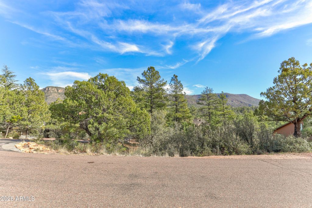 Image 10 of property listing at 4919 N TRAILS END Drive 171, Pine, AZ 85544
