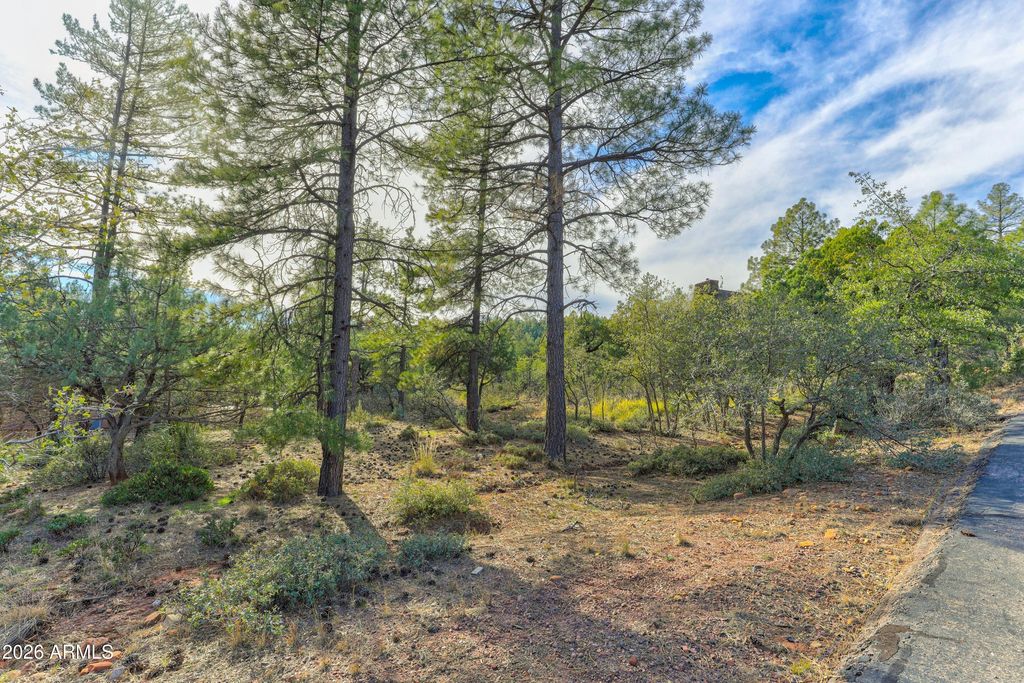 Image 8 of property listing at 4919 N TRAILS END Drive 171, Pine, AZ 85544