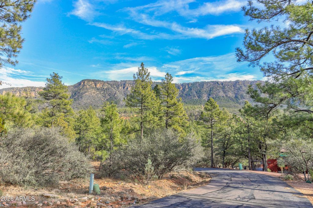 Image 9 of property listing at 4919 N TRAILS END Drive 171, Pine, AZ 85544