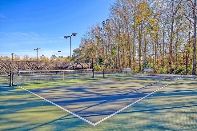 2905 Leatherleaf Court, Mount Pleasant, SC 29466