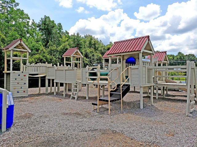 2905 Leatherleaf Court, Mount Pleasant, SC 29466