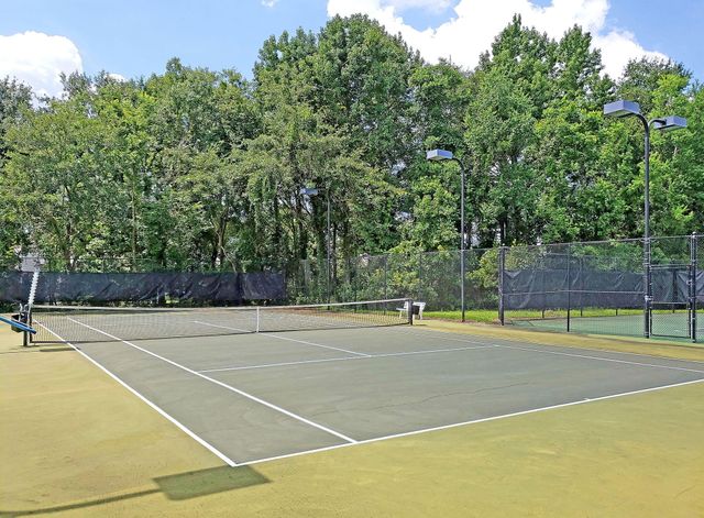 2905 Leatherleaf Court, Mount Pleasant, SC 29466