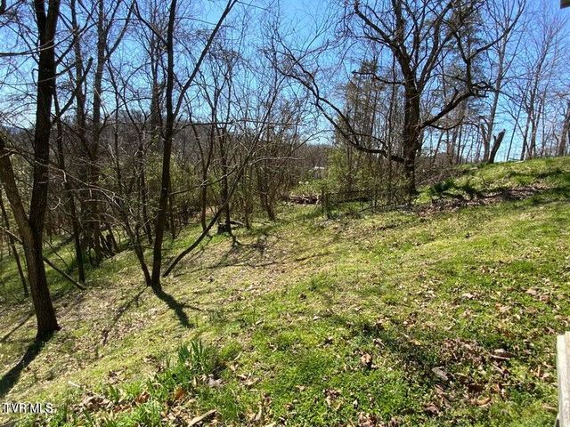 229 235 Henard Road, Rogersville, TN 37857