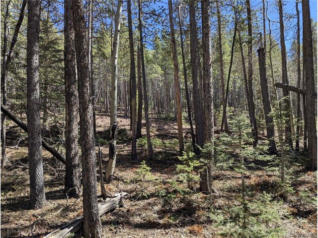 3375 Purnell Ln, Fort Garland, CO 81133