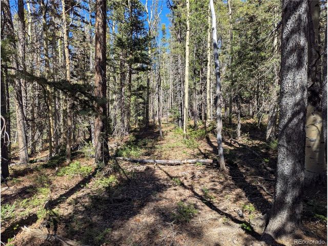 3375 Purnell Ln, Fort Garland, CO 81133
