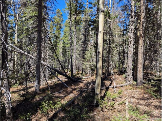 3375 Purnell Ln, Fort Garland, CO 81133