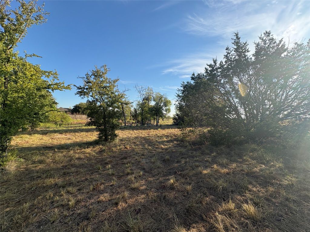 7943 Lax Drive, Fort Worth, TX 76126 — photo 4