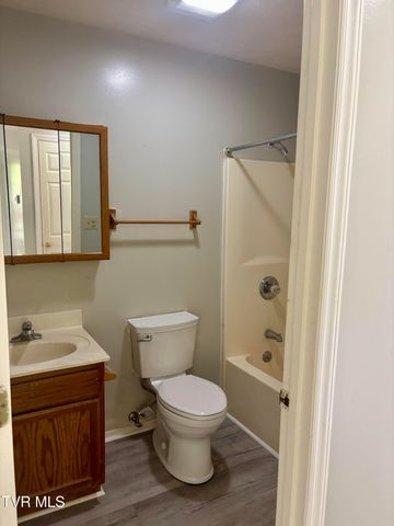 148 Kitty Cole Lane, Dungannon, VA 24245