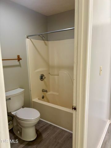 148 Kitty Cole Lane, Dungannon, VA 24245