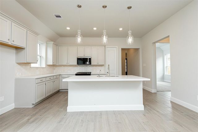 29606 Roasted Plum Road, Katy, TX 77494