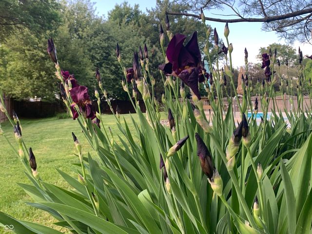 10816 Cody Lane, Fishers, IN 46037