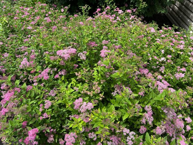 10816 Cody Lane, Fishers, IN 46037