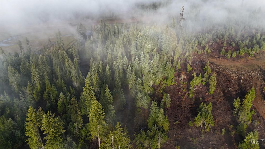 TBD Johnston Mill Road Parcel 3, Orofino, ID 83544 photo 10