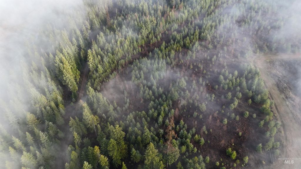 TBD Johnston Mill Road Parcel 3, Orofino, ID 83544 photo 11