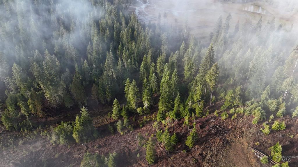 TBD Johnston Mill Road Parcel 3, Orofino, ID 83544 photo 9