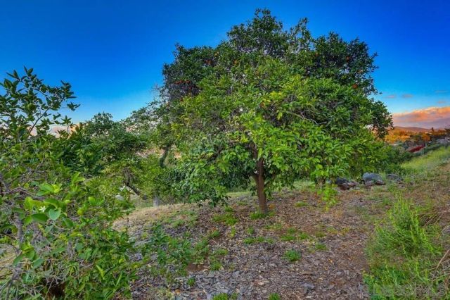 1384 Merritt Ter, El Cajon, CA 92020