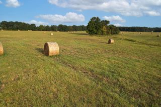 000 East Farm Road 68, Parcel 3, Strafford, MO 65757