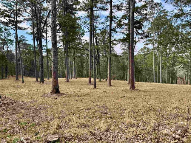 54 Split Rock Road, Melbourne, AR 72556