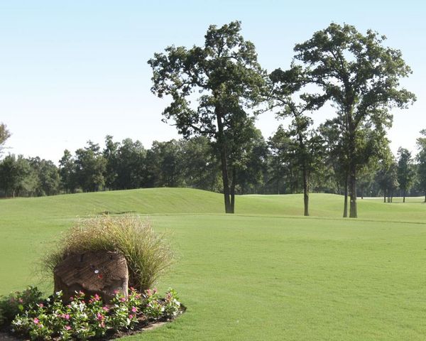528 Oakview Bend Drive, Montgomery, TX 77316