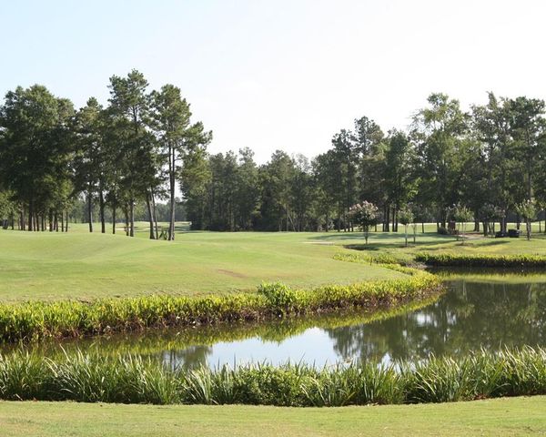 528 Oakview Bend Drive, Montgomery, TX 77316
