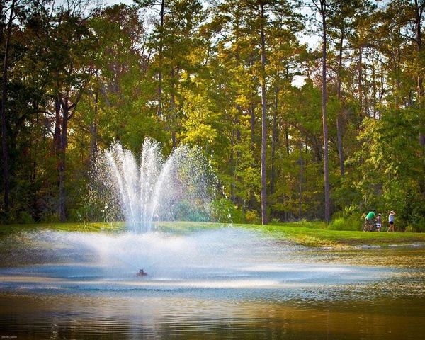 528 Oakview Bend Drive, Montgomery, TX 77316
