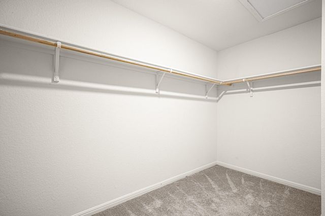 109 Gray Fox LOOP, Hutto, TX 78634