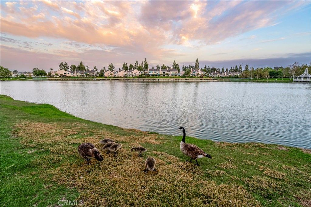 Image 27 of property listing at 492 E Yale Loop, Irvine, CA 92614