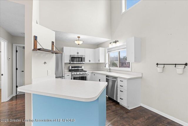 12719 Ontonagon Drive, Dewitt, MI 48820