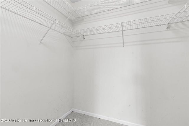 12719 Ontonagon Drive, Dewitt, MI 48820