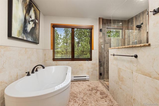 1734 Mount Evans Boulevard, Pine, CO 80470