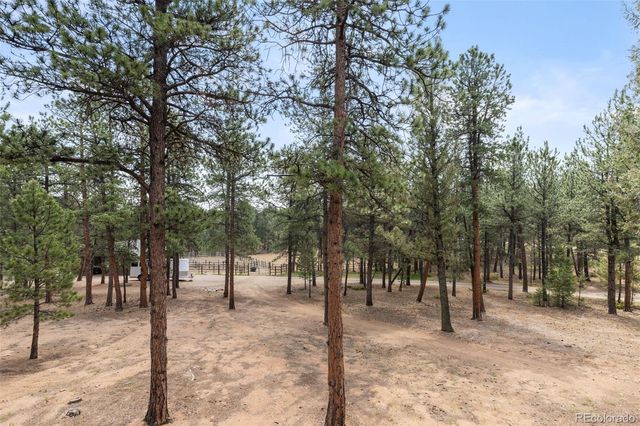 1734 Mount Evans Boulevard, Pine, CO 80470
