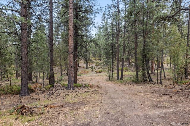 1734 Mount Evans Boulevard, Pine, CO 80470