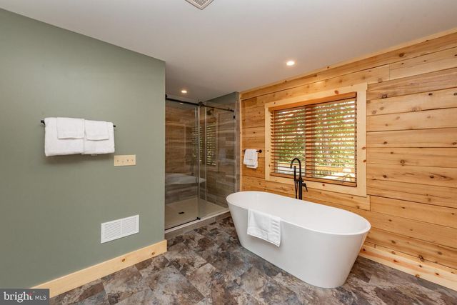 110 WISP ADVENTURE RD, Mc Henry, MD 21541